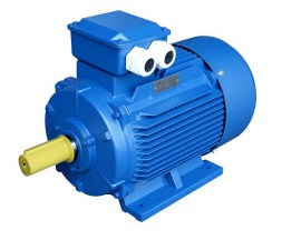 High-Efficiency-Three-Phase-Induction-Motor-IE2-